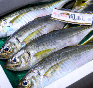 魚清