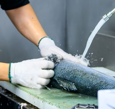 魚清